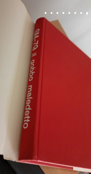Libro "SM-79 il gobbo maledetto"