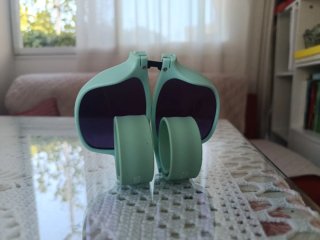 Gafas de sol desmontables