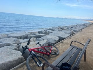 Cannondale Trail 7 2023