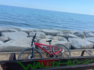 Cannondale Trail 7 2023