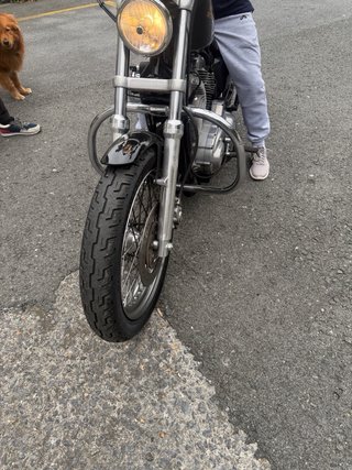 Harley Davidson Negra Cruiser