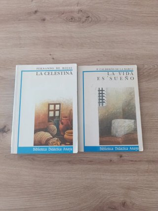 Lote libros autores clásicos.