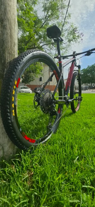 Bicicleta Specialized Carbono 29