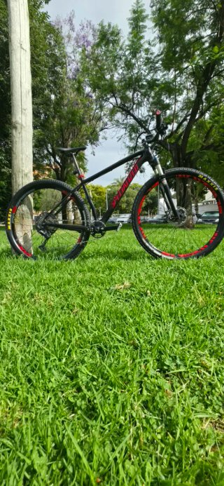 Bicicleta Specialized Carbono 29