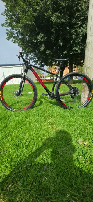 Bicicleta Specialized Carbono 29