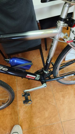Bicicleta Gazelle P1aya Aluminio