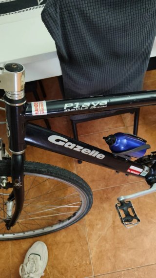 Bicicleta Gazelle P1aya Aluminio