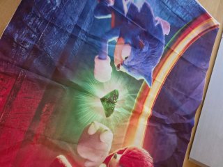 Póster Sonic y Knuckles