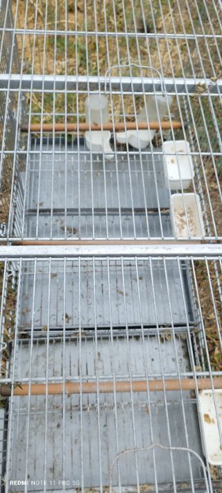 Jaula grande para pájaros