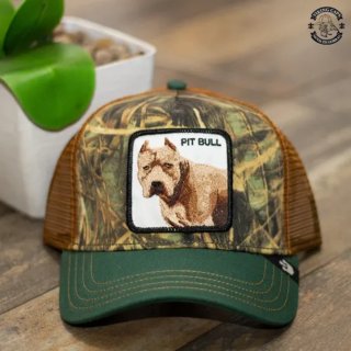 Gorras Goorin Bros Pit Bull y Sidekick