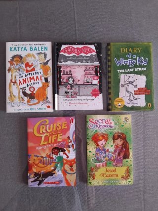 Lote de 5 libros juveniles en ingles
