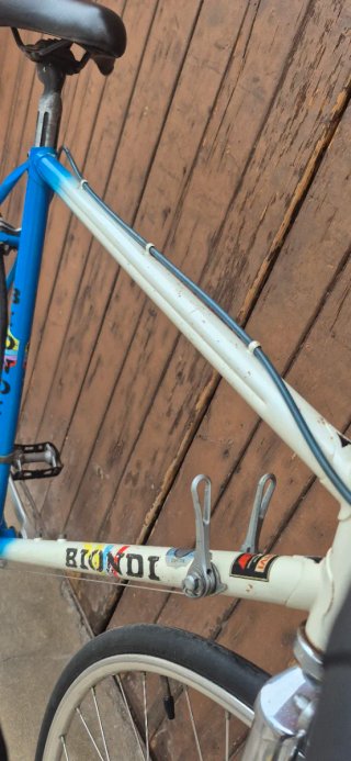 Bicicleta Biondi Clásica