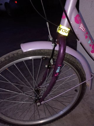 Bicicleta infantil morada