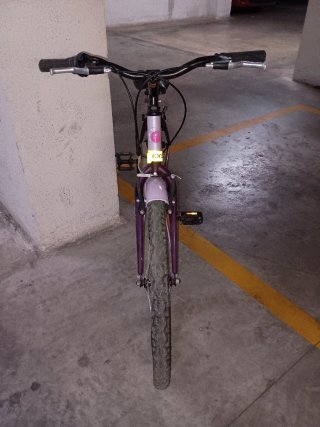 Bicicleta infantil morada