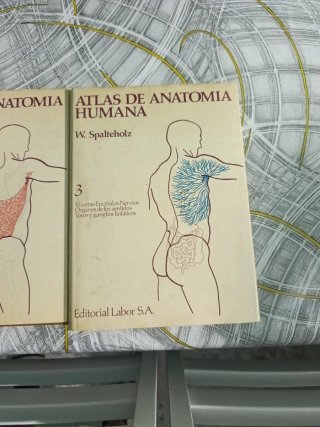 Enciclopedias Atlas de Anatomía Humana 3 tomos