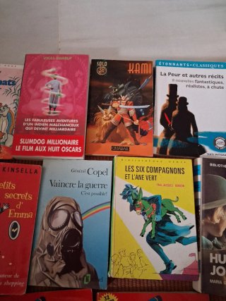 Lote de 18 libros en francés