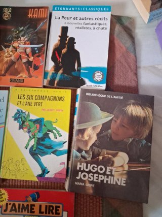 Lote de 18 libros en francés