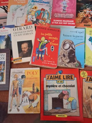 Lote de 18 libros en francés