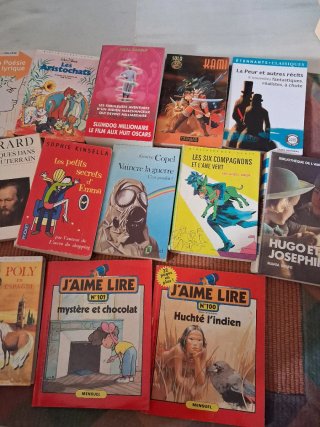 Lote de 18 libros en francés