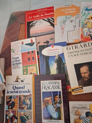 Lote de 18 libros en francés