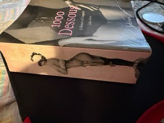 Libro 1000 Dessous History of Lingerie (Taschen)