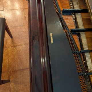 Pianoforte a coda Sievers