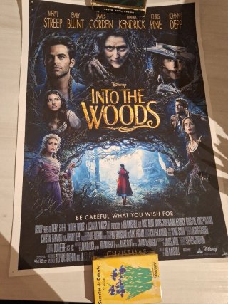 Póster Into the Woods Disney