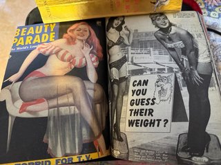 The Best of American Girlie Magazines Taschen