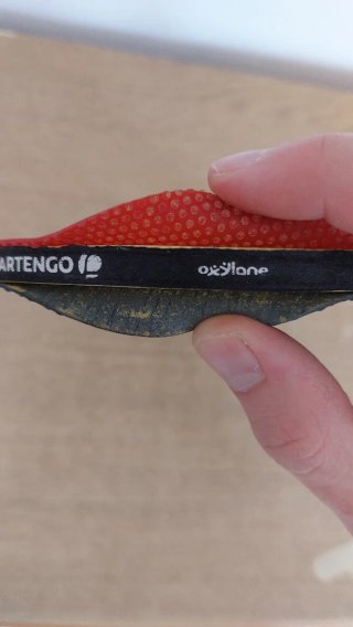 Pala de ping pong