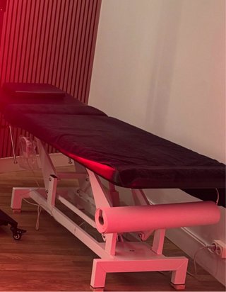 CAMILLA ELÉCTRICA PROFESIONAL DE 2 CUERPOS