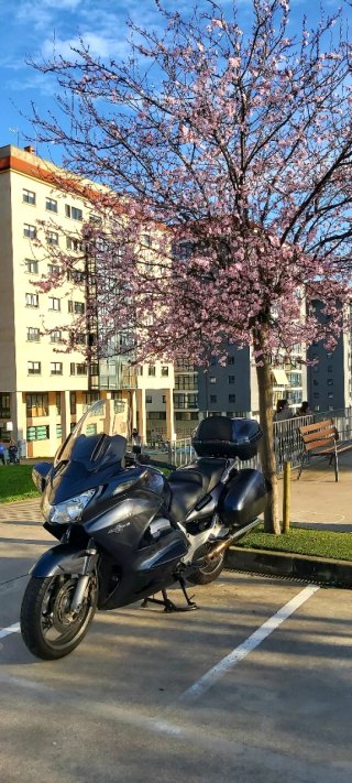 Honda Pan European 1300 Negra/Gris