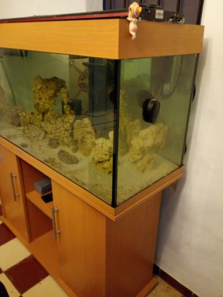 Acuario con mueble