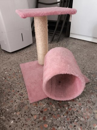 Cosas para gatos