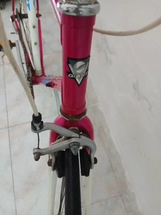 Bicicleta Carretera Giant Rosa/Blanca