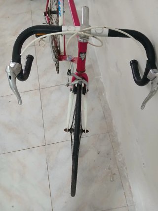 Bicicleta Carretera Giant Rosa/Blanca