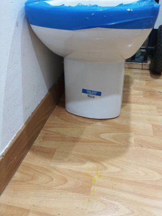Taza de inodoro  Roca Senso Compacto