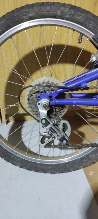 Bicicleta infantil SPEED 20 7-12 años