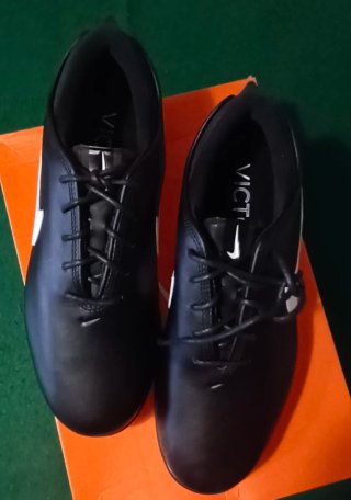 Zapatos de Golf Nike