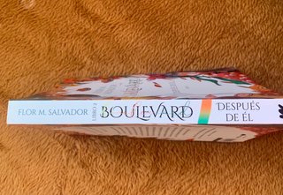 Libro El Boulevard - Después de él