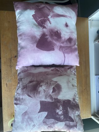 Cuscini decorativi cani e gatti