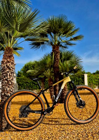 29"Mountain bike full carbon