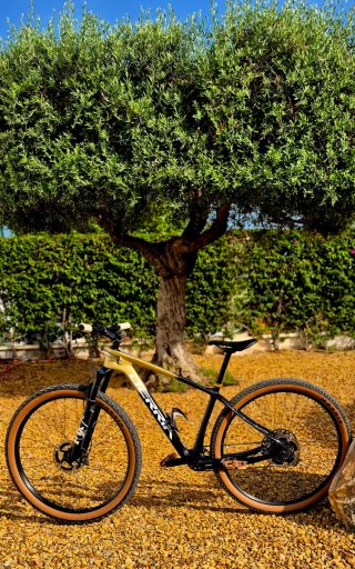 29"Mountain bike full carbon