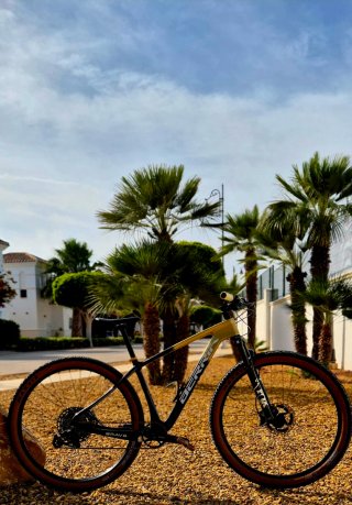 29"Mountain bike full carbon