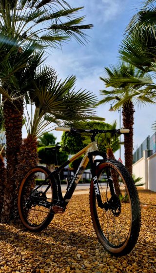 29"Mountain bike full carbon