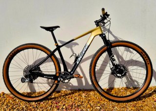 29"Mountain bike full carbon