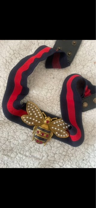 Cinturón Gucci Abeja Joya Dorado