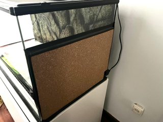 Terrario Exo Terra Grande Ancho