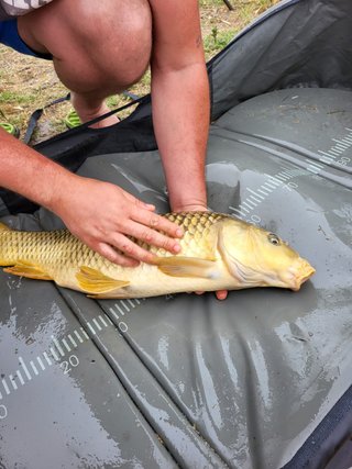Guía de Pesca Carpfishing y Clases (28 años exp.)