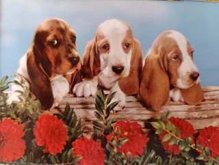 20 Lote Cartoline Natalizie Antiche Cani e Gatti