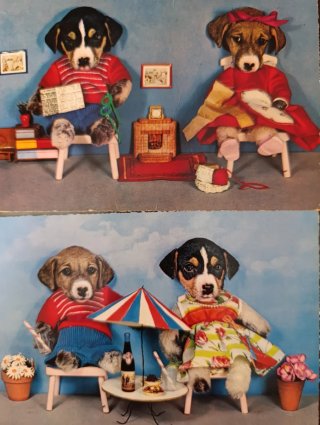 20 Lote Cartoline Natalizie Antiche Cani e Gatti